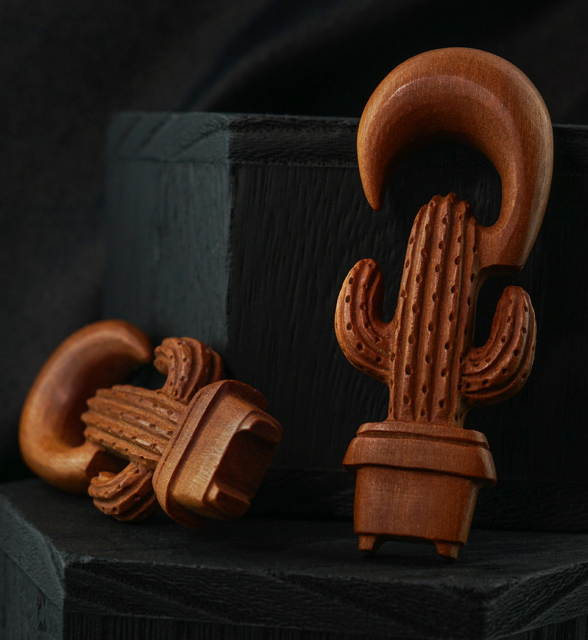 Cactus Planter Wooden Spiral Hangers