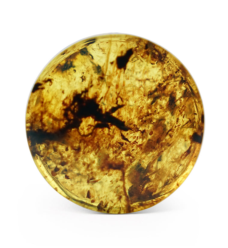 Chiapas Amber Plugs
