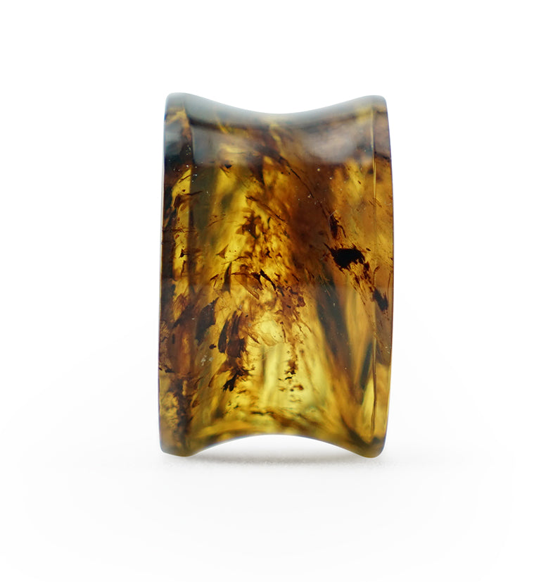 Chiapas Amber Plugs