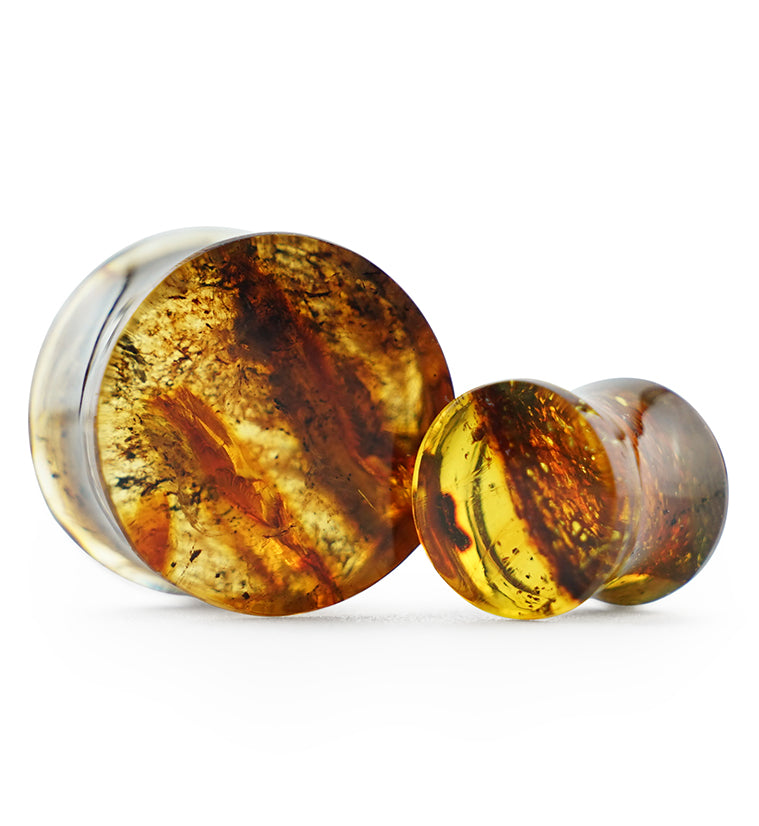 Chiapas Amber Plugs