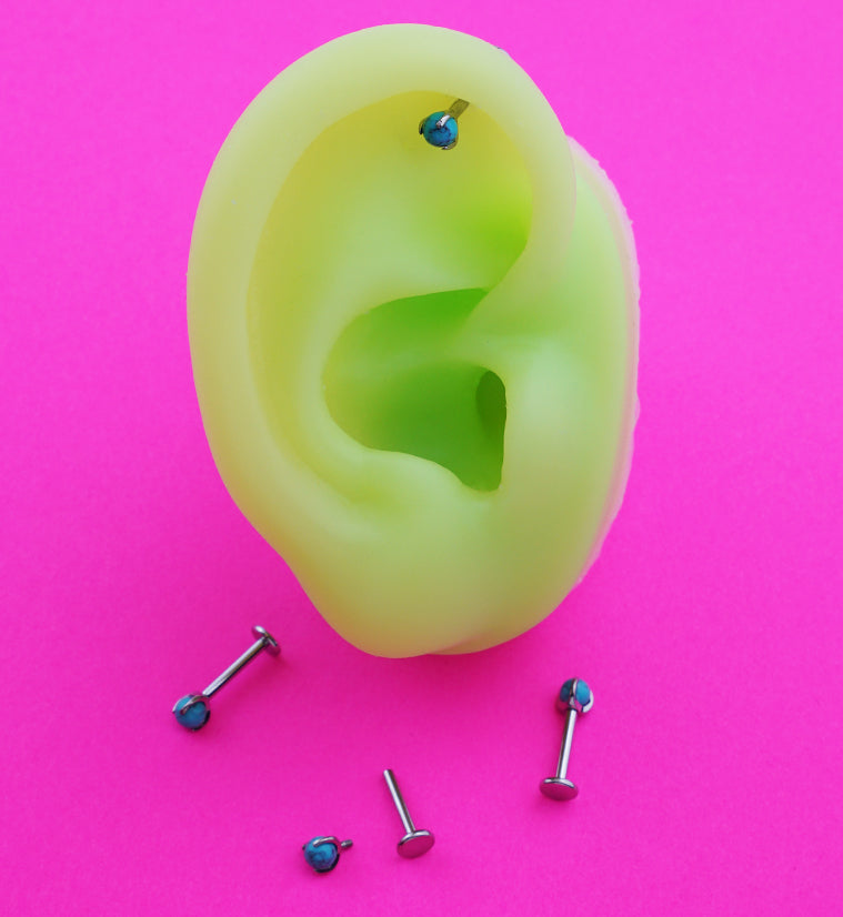 Claw Turquoise Stone Internally Threaded Titanium Labret