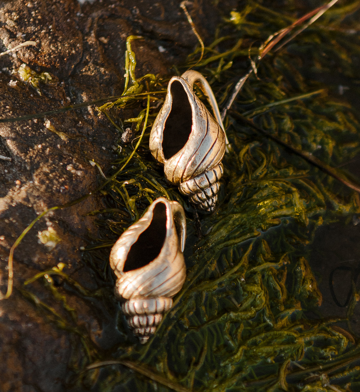 Conch Shell Ear Weights