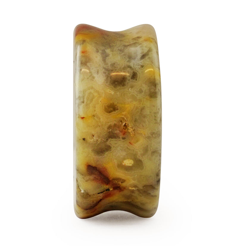 Crazy Lace Agate Stone Plugs