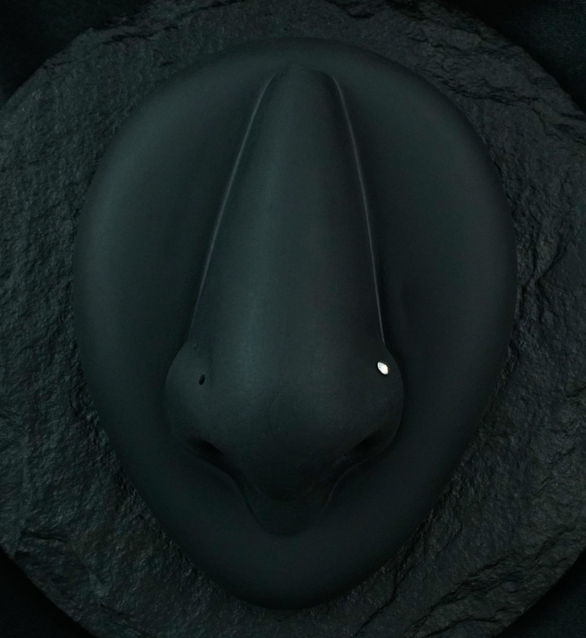 Dome Top L Bend Nose Ring
