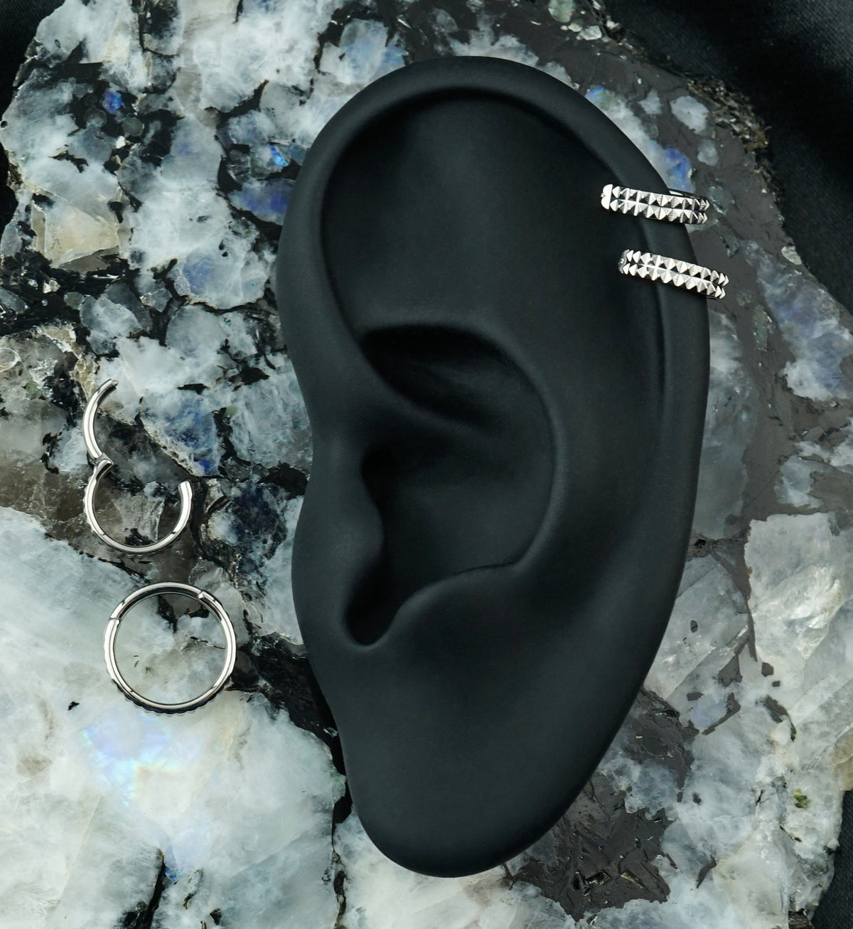 Double Stacked Studded Titanium Hinged Segment Ring