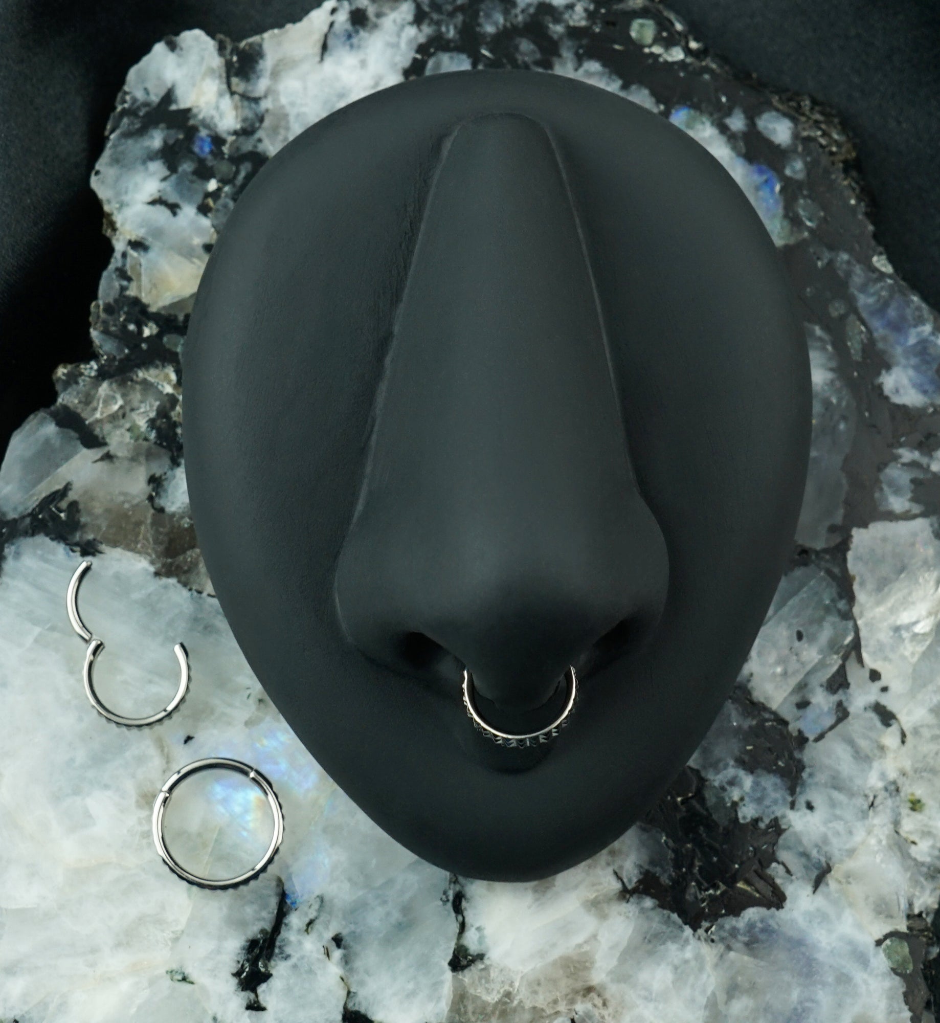 Double Stacked Studded Titanium Hinged Segment Ring