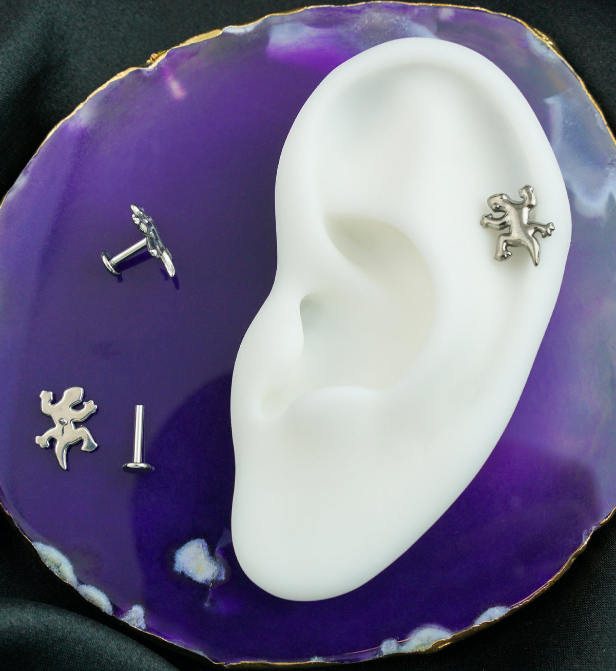 Gecko Internally Threaded Titanium Labret