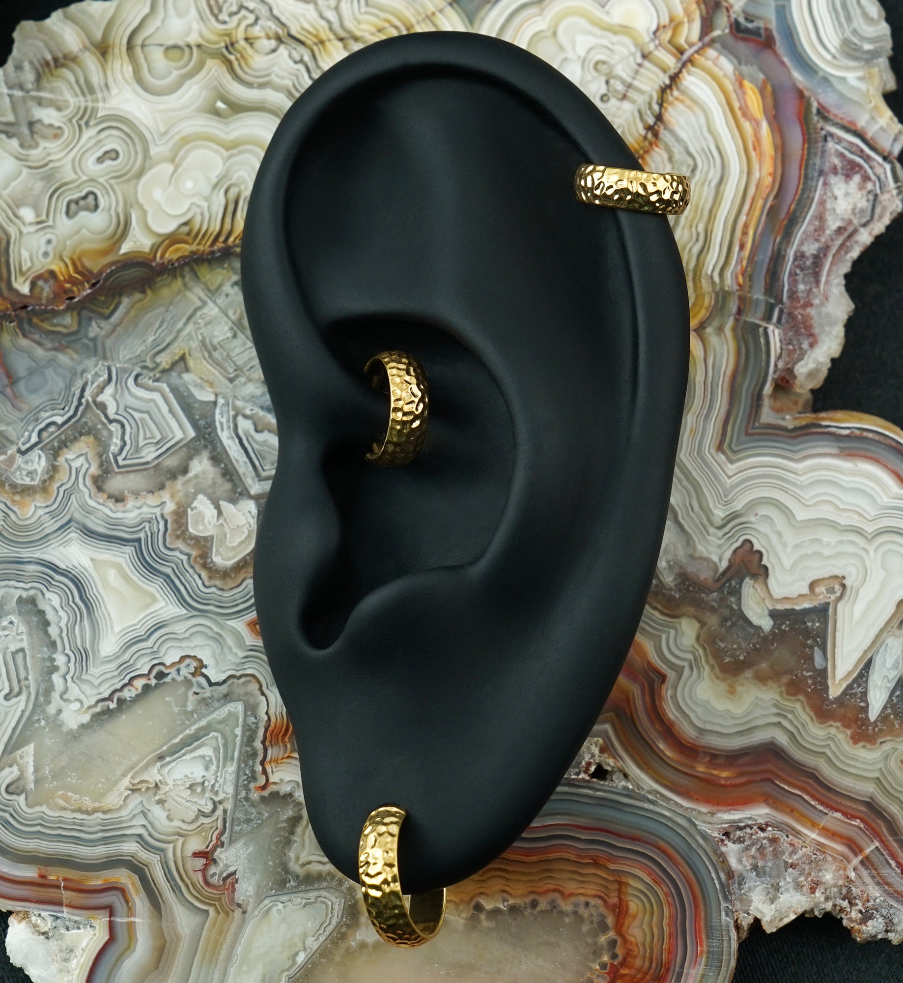 Gold PVD Anthozoan Titanium Hinged Segment Ring