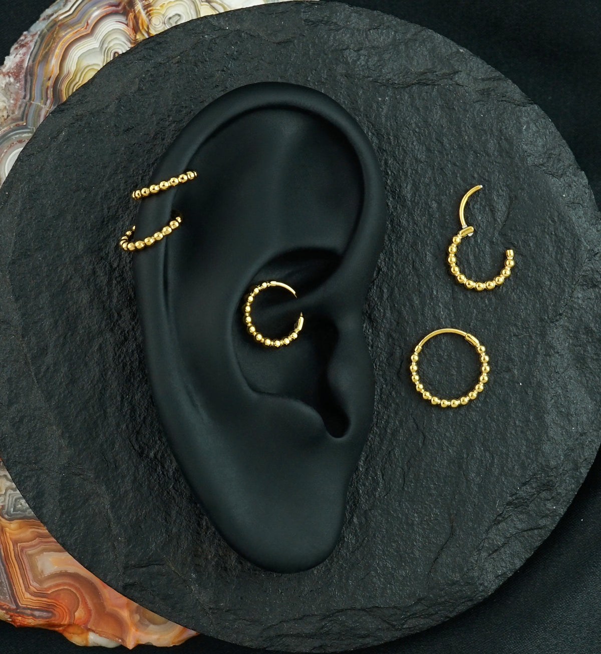 Gold PVD Bead Hoop Stainless Steel Hinged Segment Ring