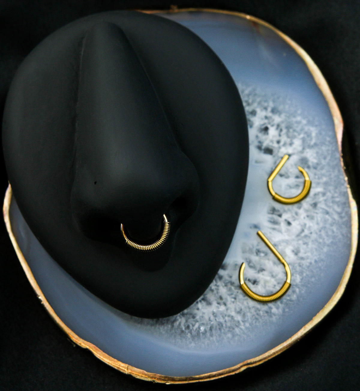 Gold PVD Coil D-Shaped Stainless Steel Hinged Segment Ring