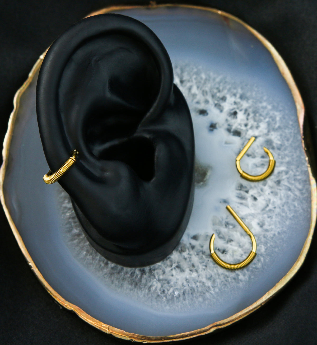Gold PVD Coil D-Shaped Stainless Steel Hinged Segment Ring