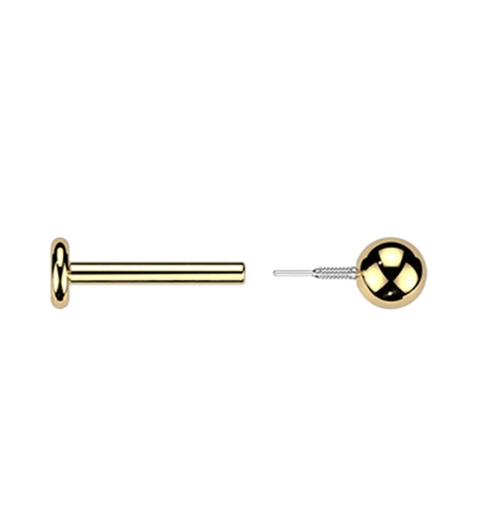 Gold PVD Ball Top Long Thread Internally Threaded Titanium Labret