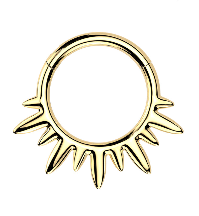 Gold PVD Magnetic Flux Titanium Hinged Segment Ring