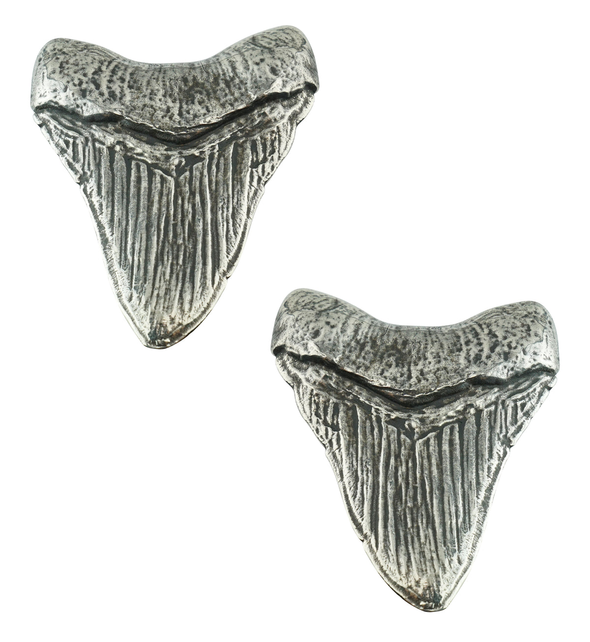 Megalodon White Brass Ear Weights