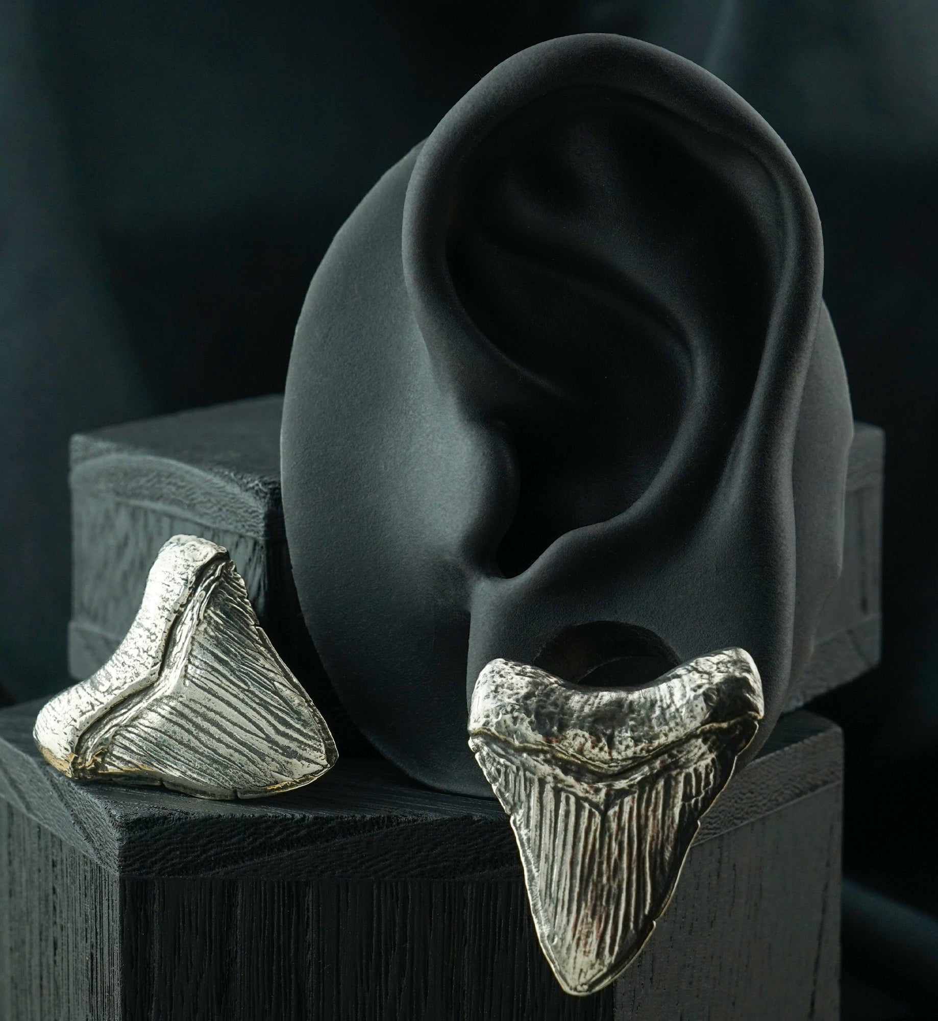 Megalodon White Brass Ear Weights