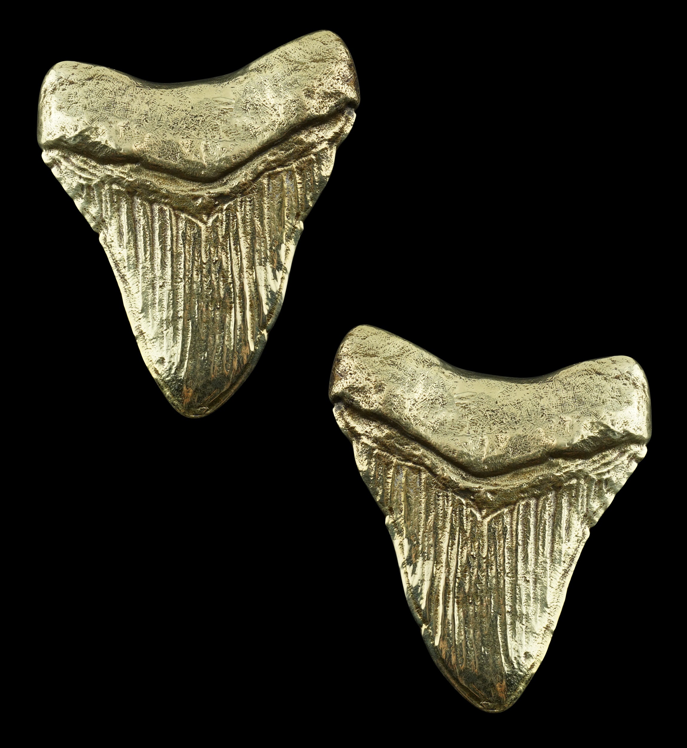 Megalodon Brass Ear Weights