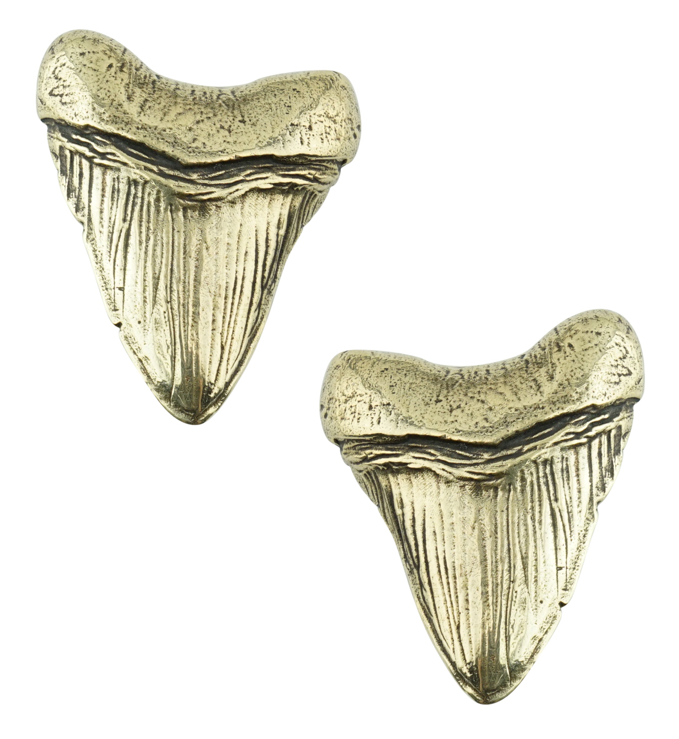 Megalodon Brass Ear Weights