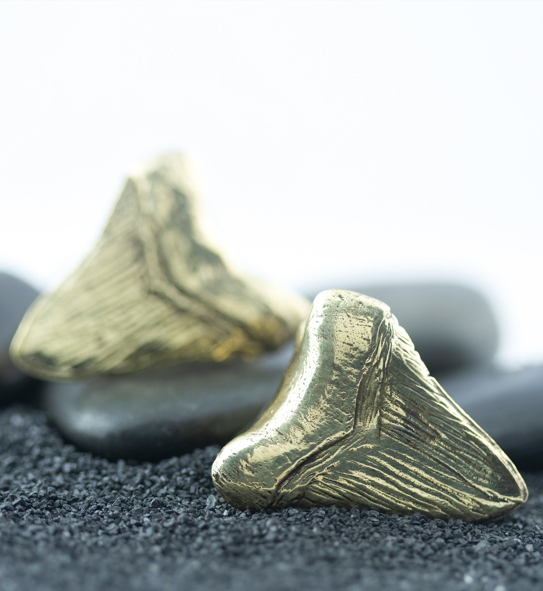 Megalodon Brass Ear Weights