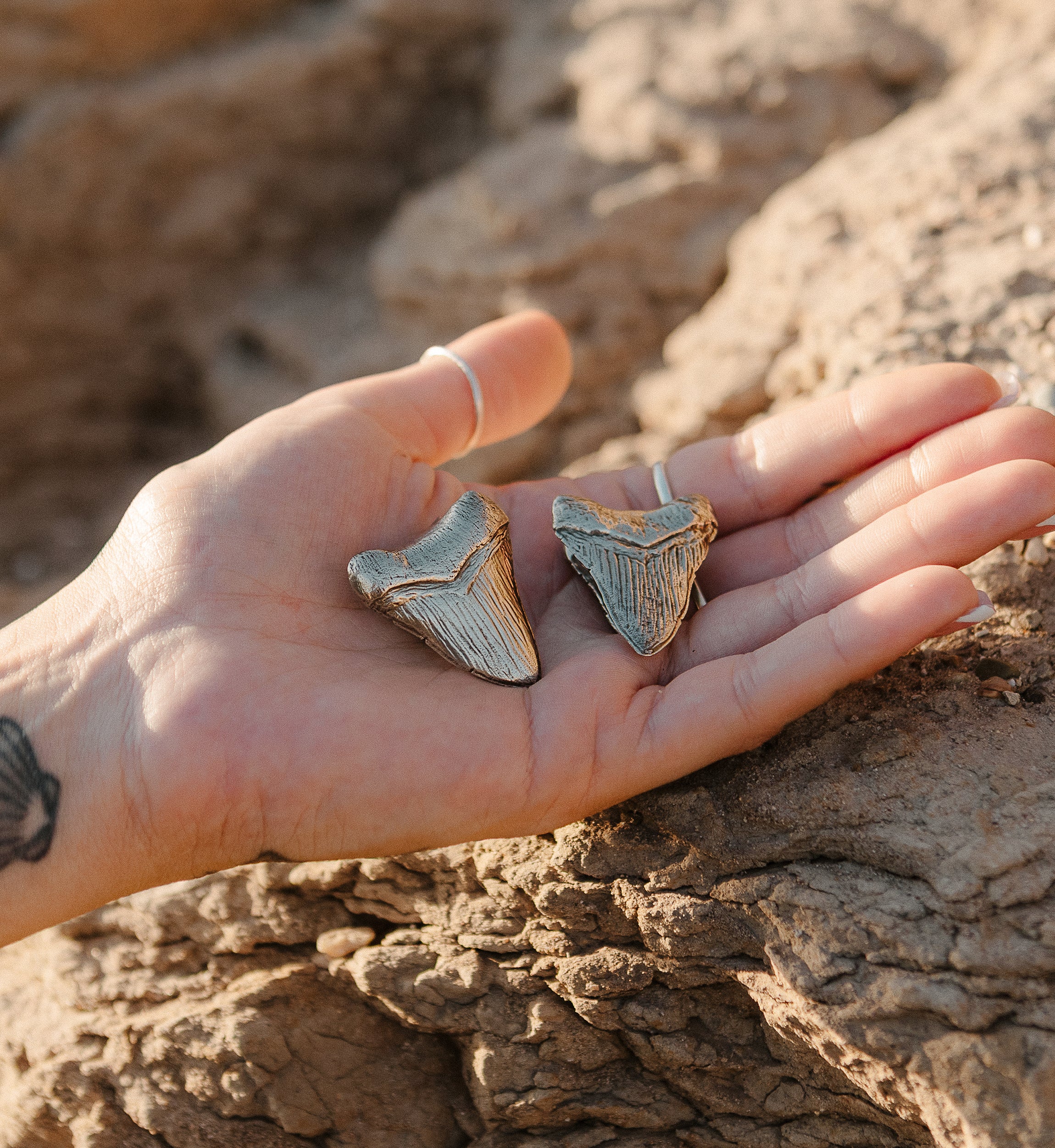 Megalodon Brass Ear Weights