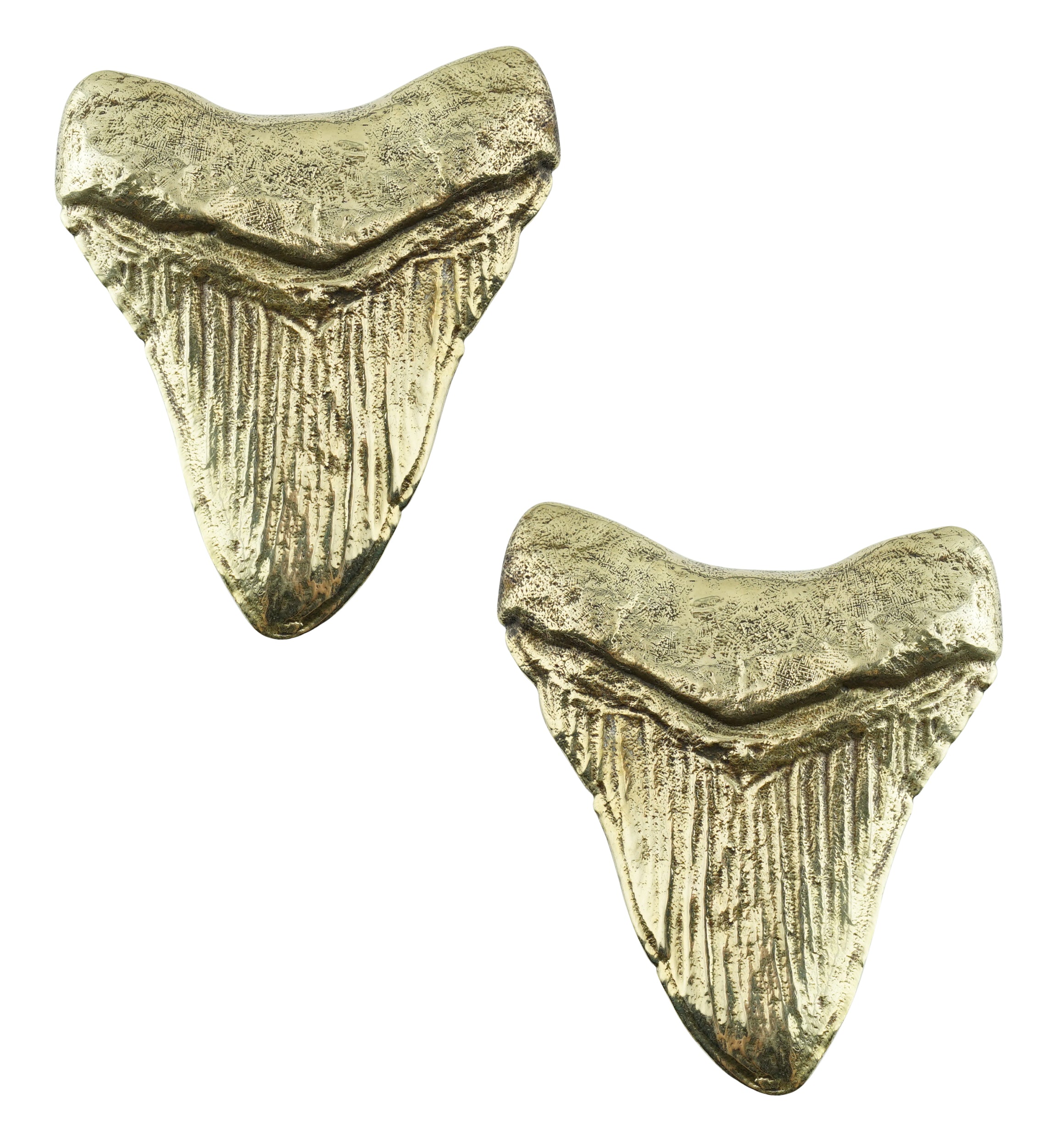 Megalodon Brass Ear Weights