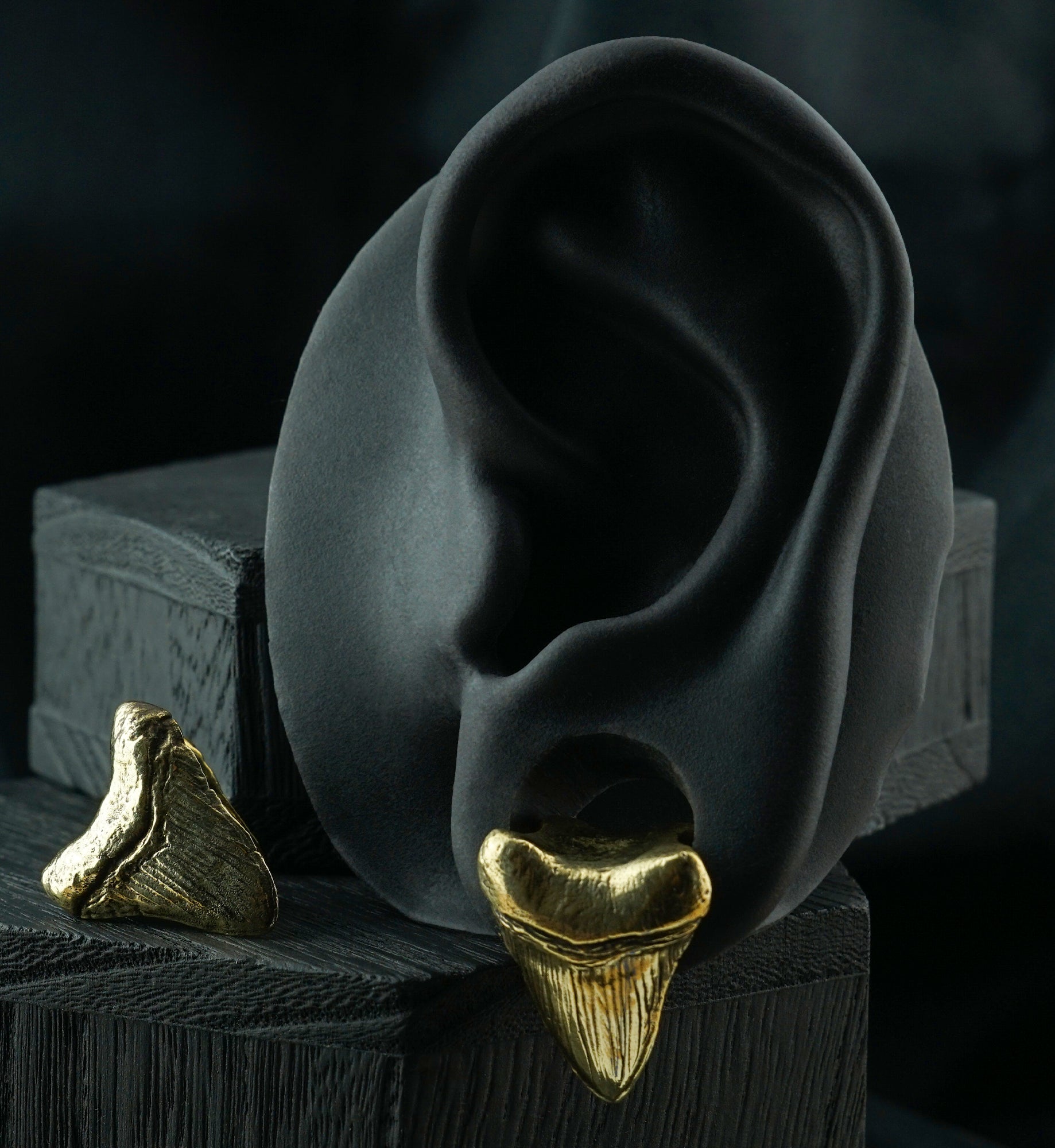 Megalodon Brass Ear Weights