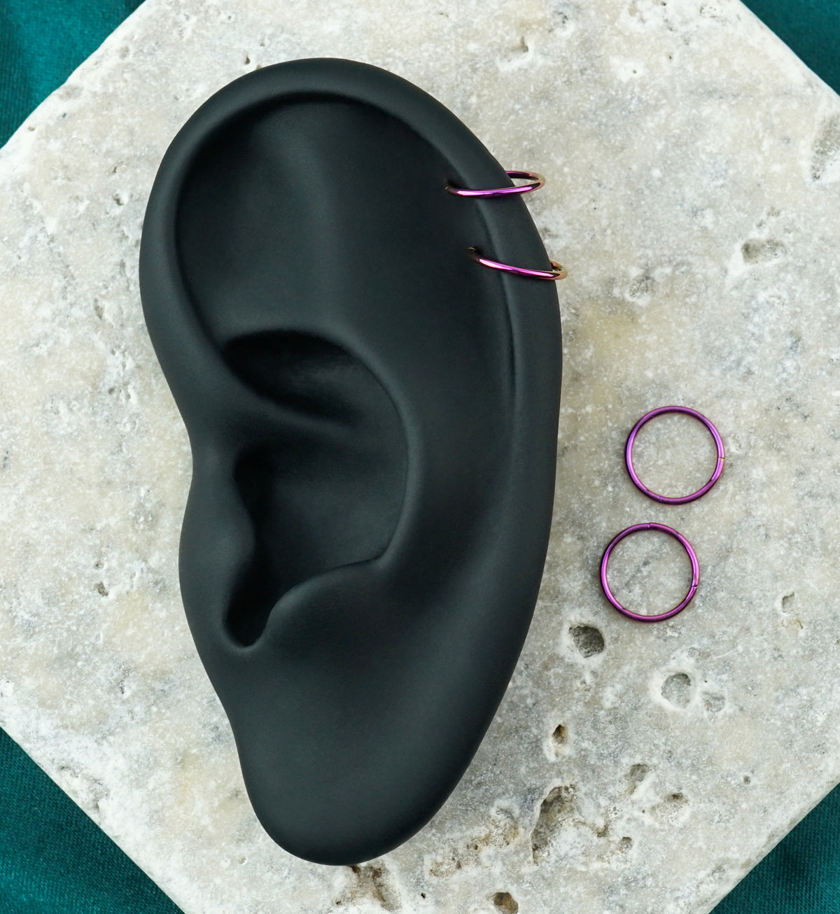Purple PVD Hinged Stainless Steel Segment Hoop Ring