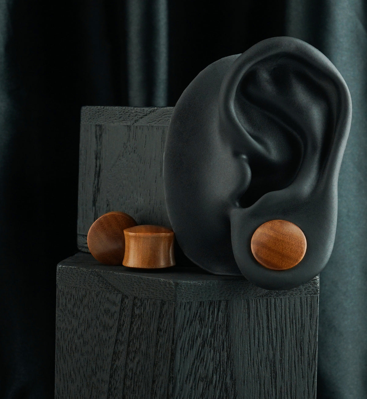 Saba Wood Plugs, worn in the lobe of a display ear with two loose plugs