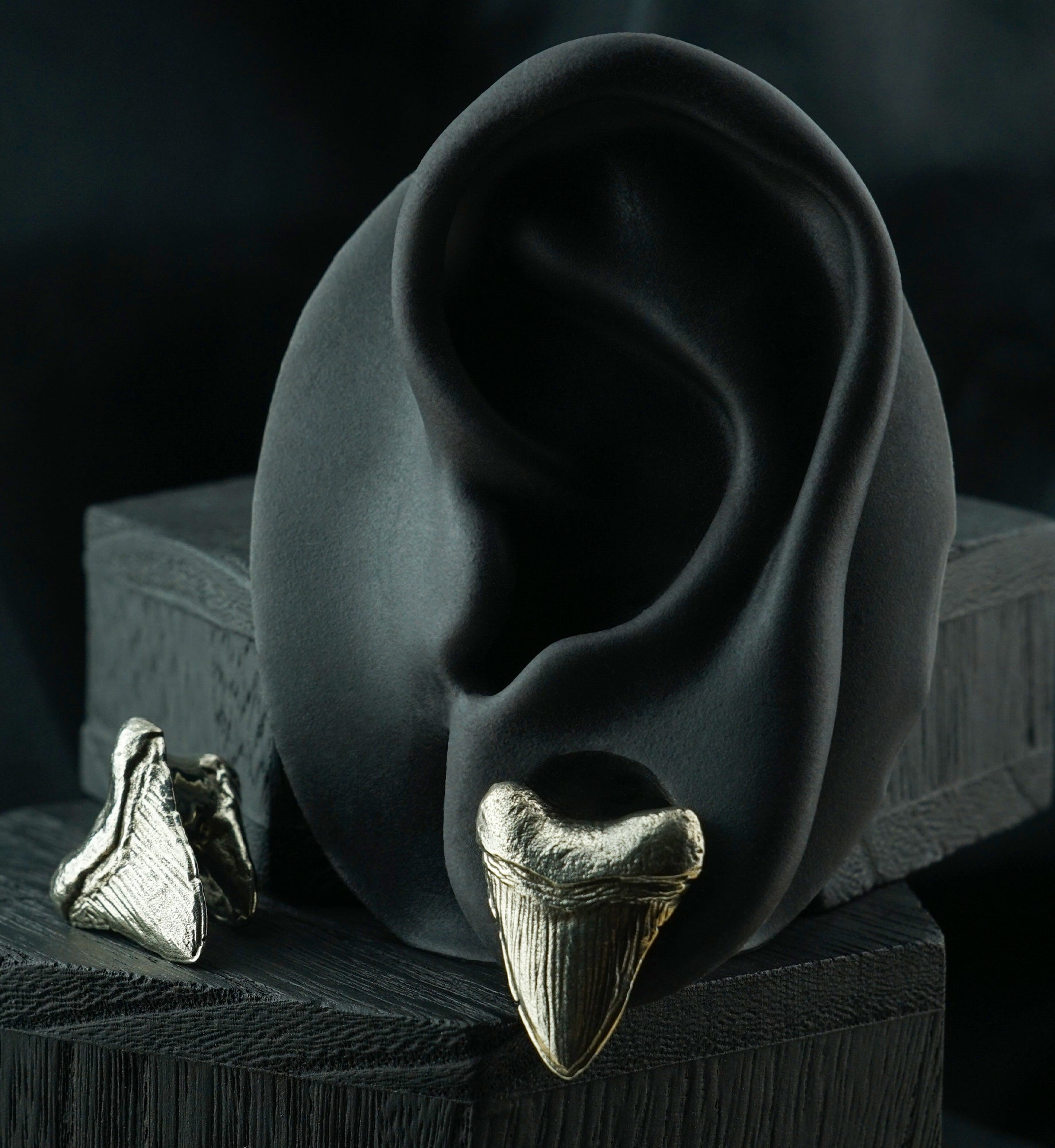 Megalodon White Brass Ear Weights