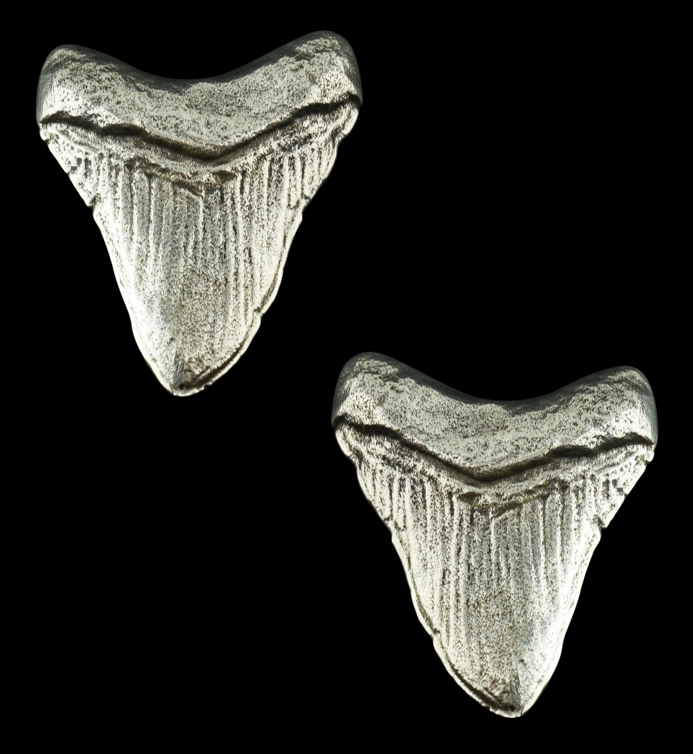 Megalodon White Brass Ear Weights