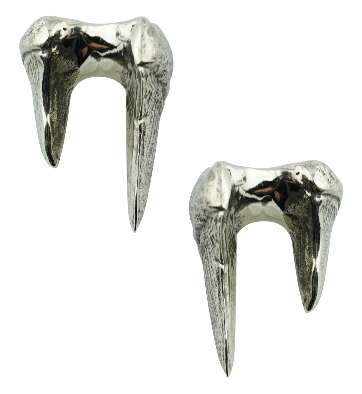 Megalodon White Brass Ear Weights