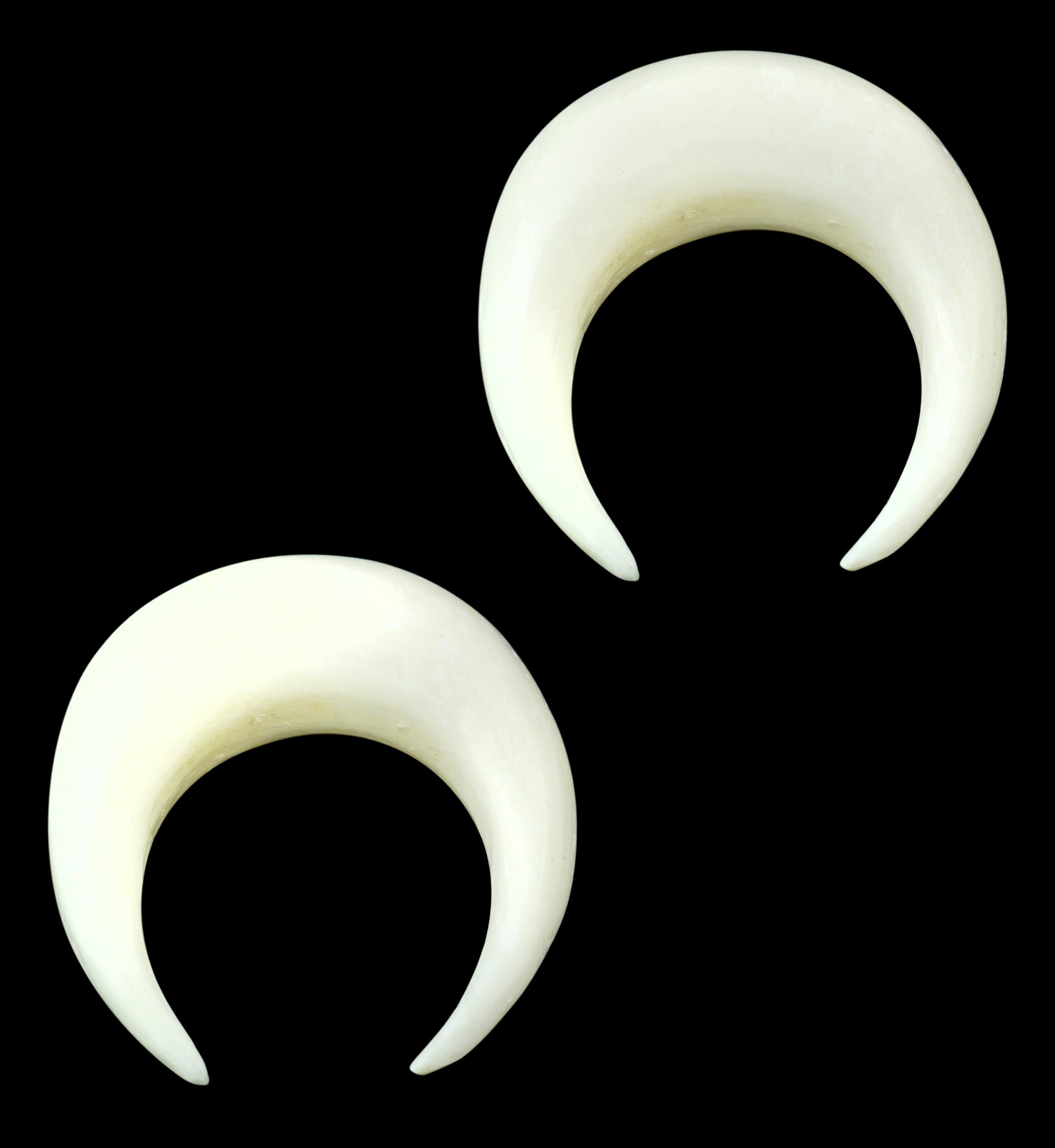 Solid Bone Pinchers