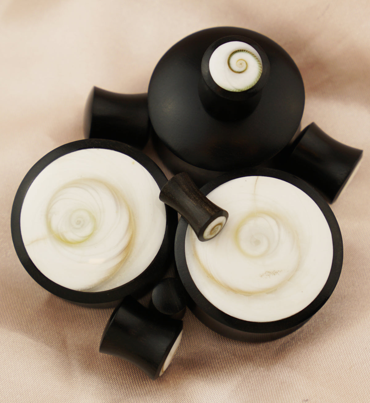 Spiral Sea Shell Inlay Wood Plugs