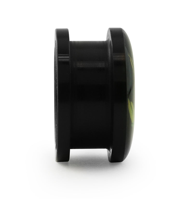 Black Swallow Plugs