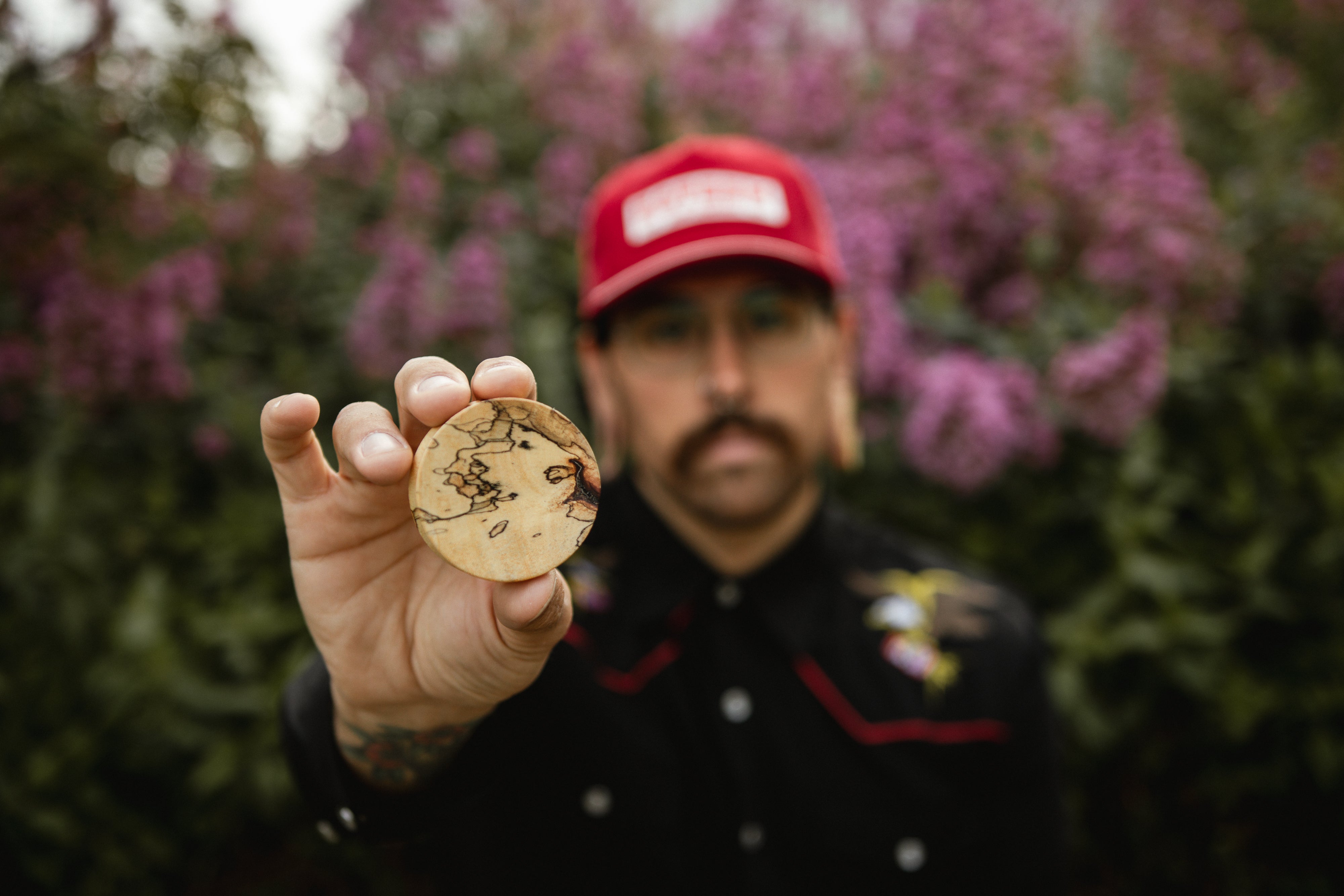 Tamarind Wood Plugs