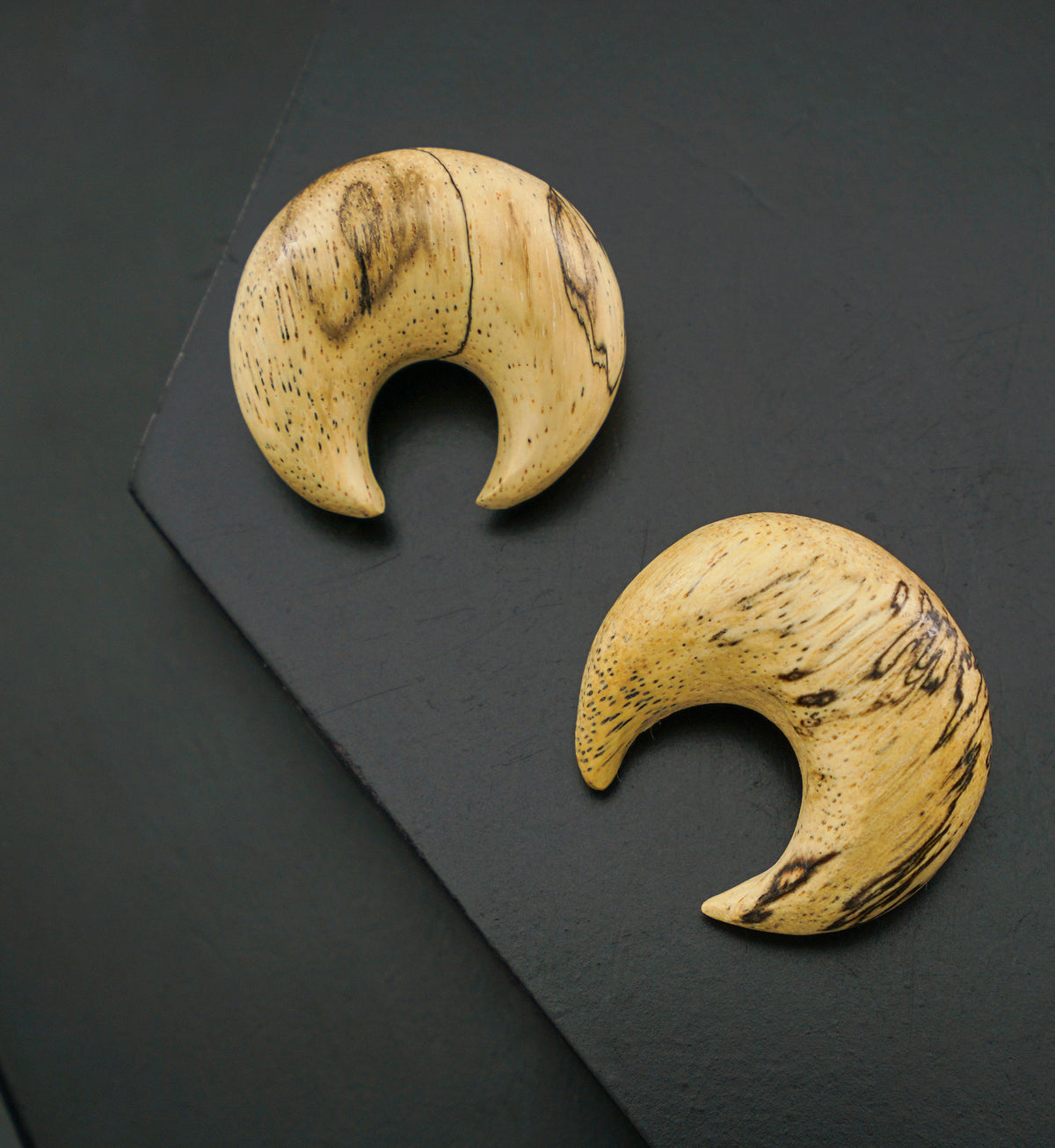 Tamarind Wood Septum Pincher