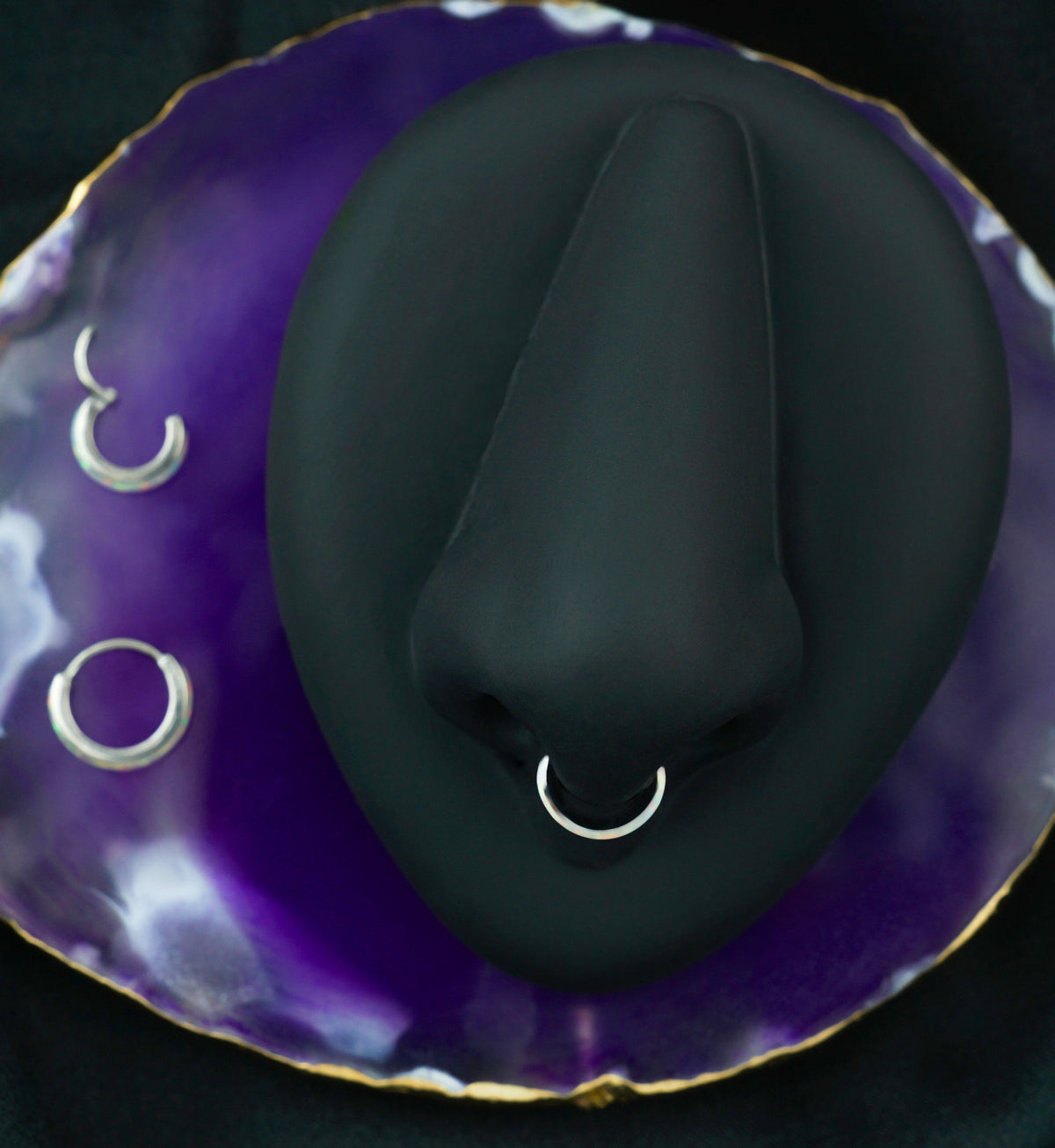 Thick Rim White Opalite Titanium Hinged Segment Ring
