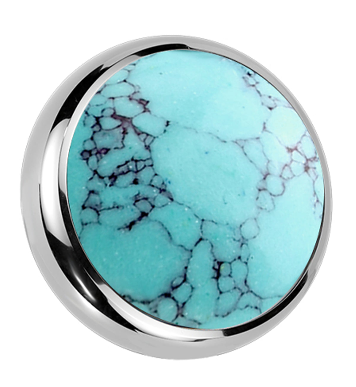Turquoise Howlite Stone Titanium Bezel End