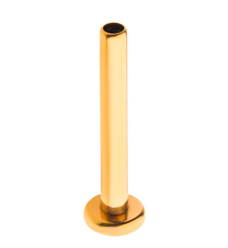 24kt Gold PVD 16G Titanium Labret (Back Only)