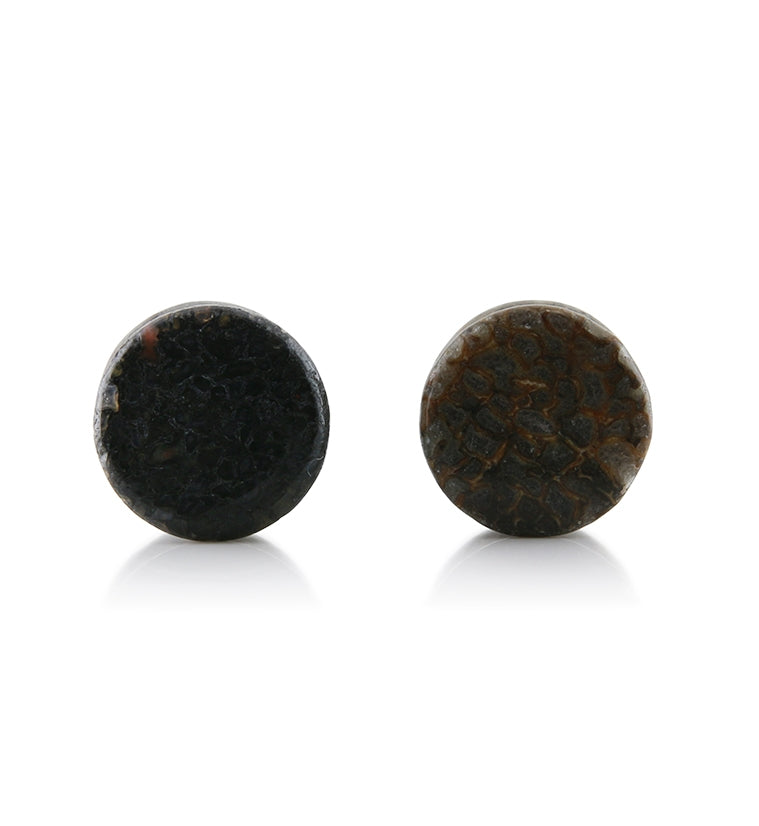 Fossilized Dinosaur Bone Plugs 1/2" (12mm) Version 2