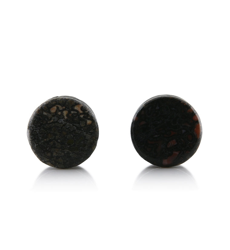 Fossilized Dinosaur Bone Plugs 1/2" (12mm) Version 4