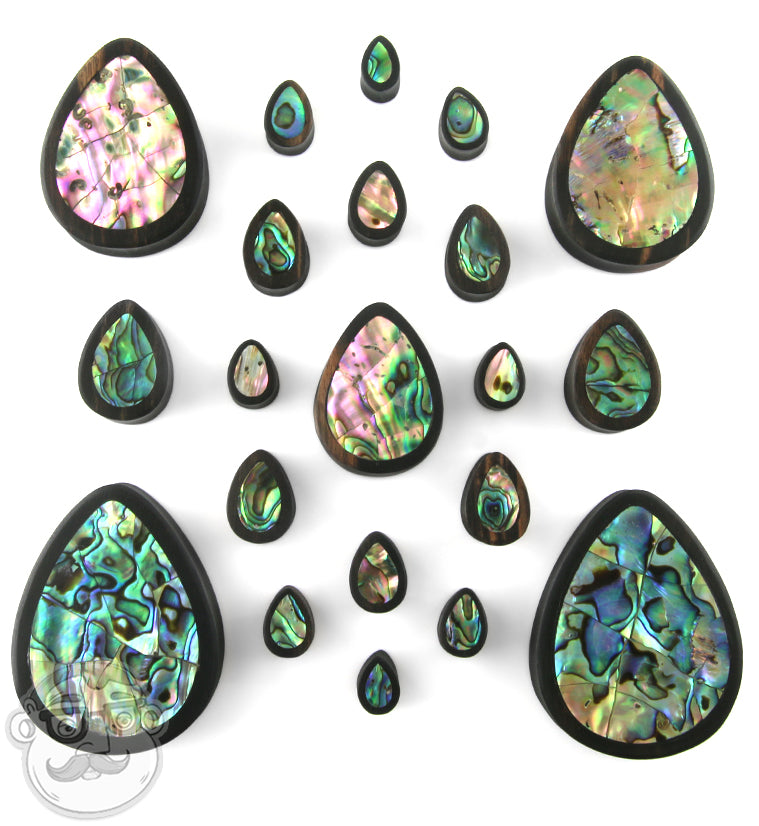 Abalone Shell Areng Wood Teardrop Plugs