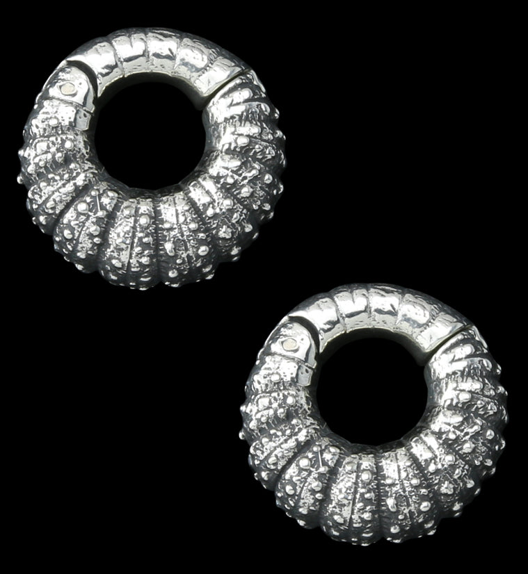 Barnacle White Brass Hinged Ear Weights
