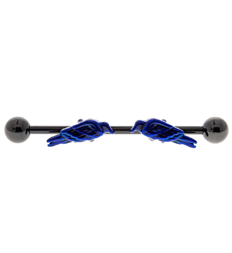 Raven Black & Blue Industrial Barbell