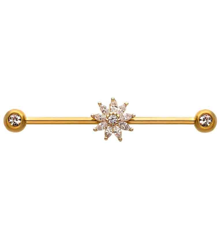 Topliner Gold Industrial Barbell