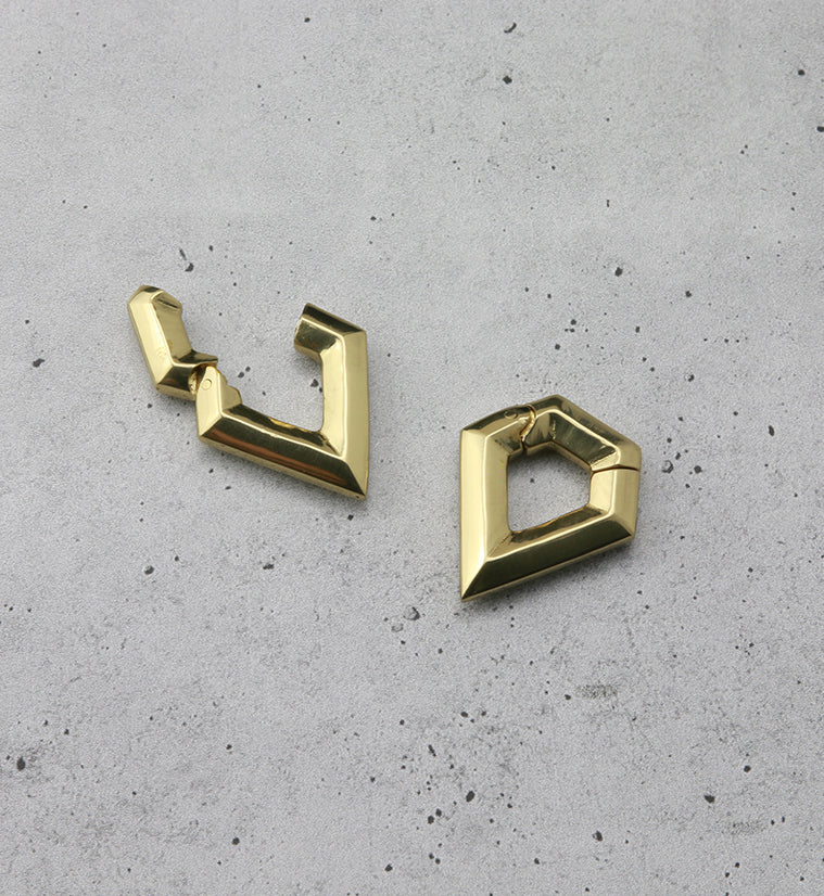 Dash Hinged Ear Weights
