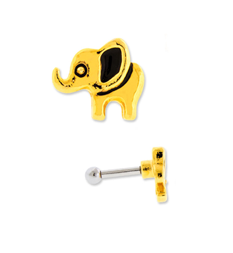 16G Gold PVD Elephant Tragus / Cartilage Barbell