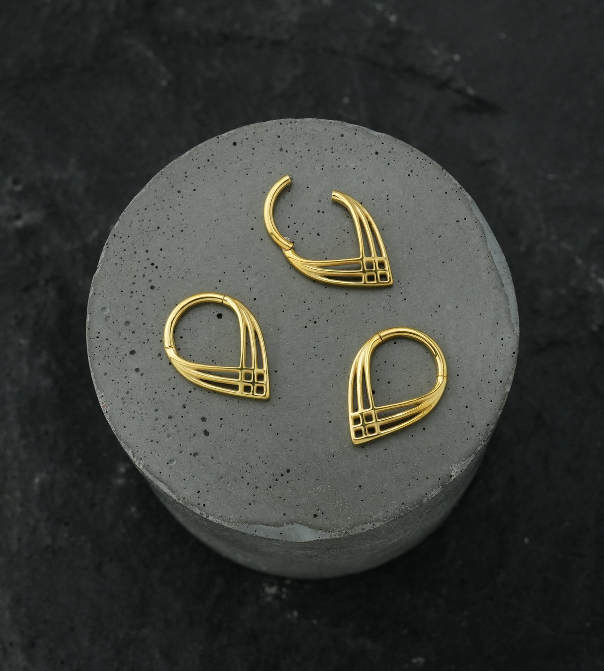 Gold PVD Crosshatch Point Stainless Steel Hinged Segment Ring