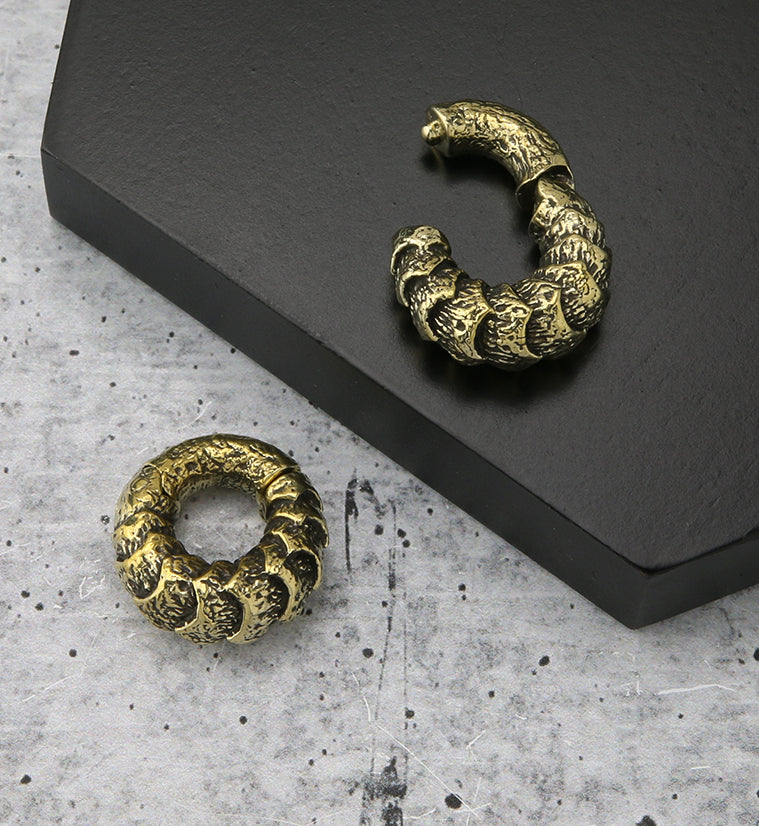 Scales Brass Hinged Ear Weights