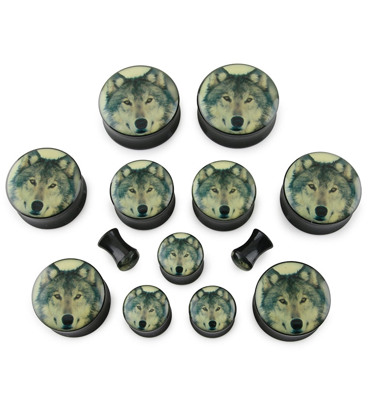 Wold Plugs